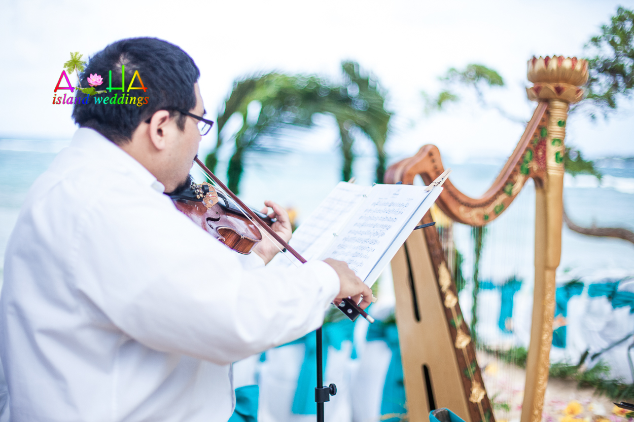 Violinist plays at a beach wedding with entertaining the guest