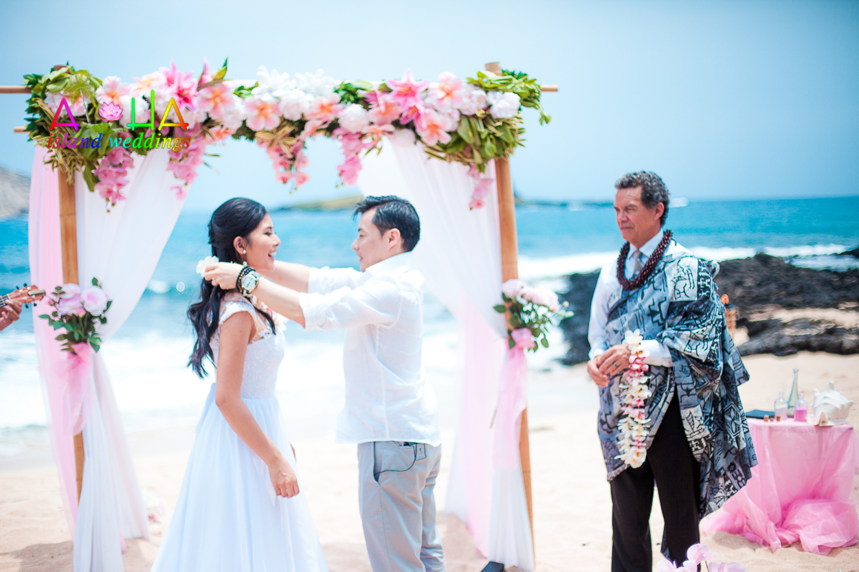 The groom gives his bride to be a lei of light pink plumeria flowers in Hawaii as part of the Hawaiian ceremony tradition 