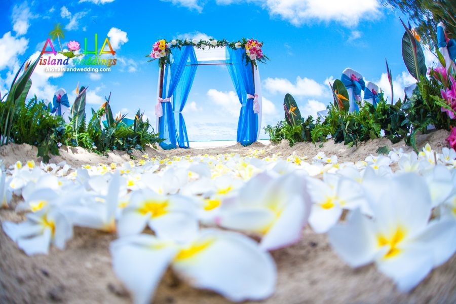 Yellow and white plumeria flowers on the aisle way leading up to the Hawaii beach wedding arch of sky blue with multi tropical flowers as arrangements 