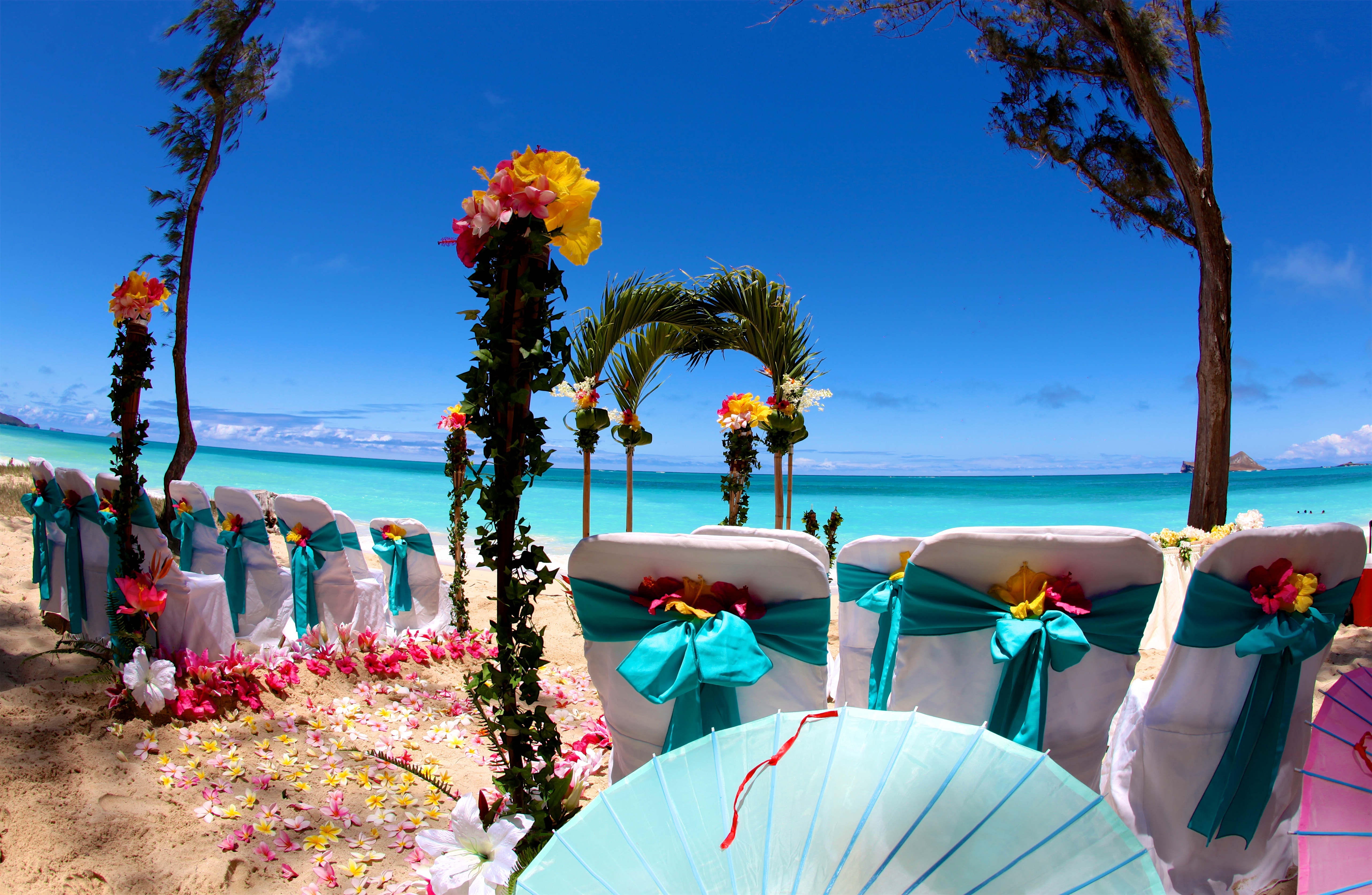 Waimanalo beach ceremony with a palm arch, turquoise sashes and tropical flowers