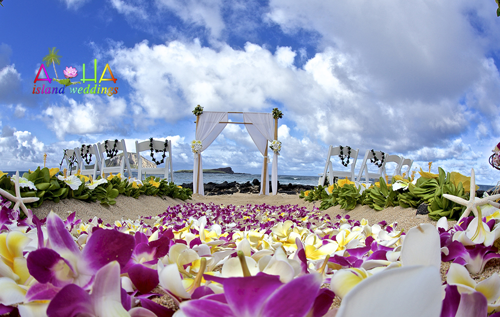 Makapuu Beach Wedding Weddings In Hawaii