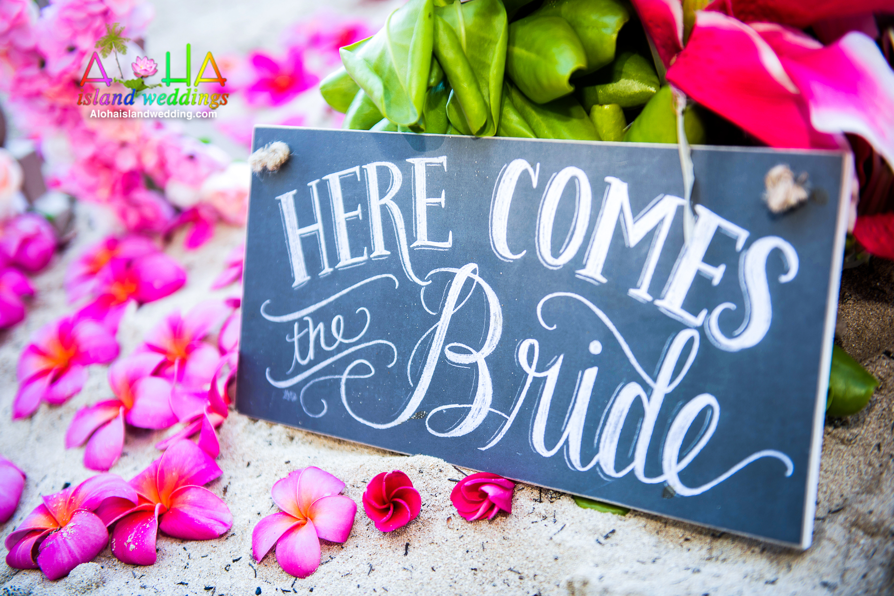 beautiful hot pink plumeria with a wedding sign that says Here Comes The Bride