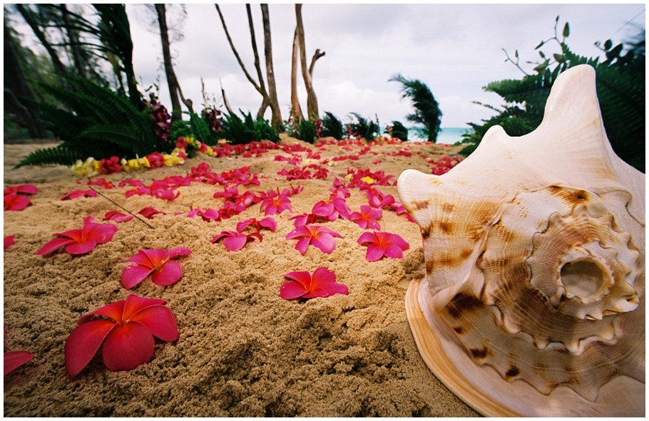 Aisleway flowers for beach wedding in Hawaii