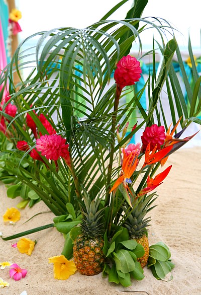 palms with pineapples