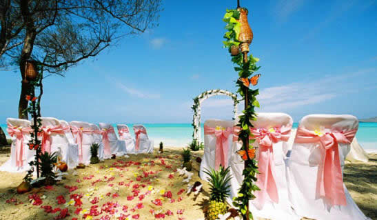 wedding archway with ping sashes