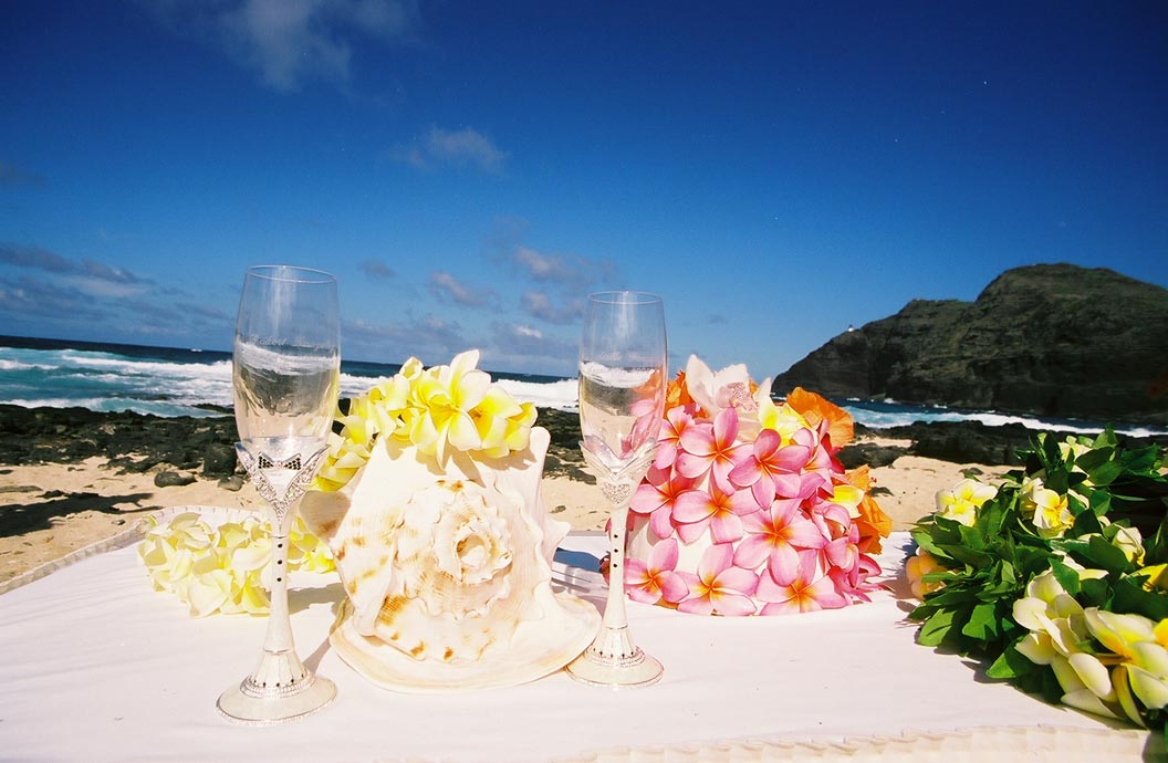 champagne decorates glasses sit on a table with the conch shell and plumeria bouquet