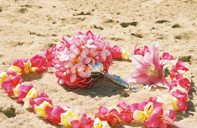 multi color plumeria flowers on the sand at the Kahala resort Hotel with light pink plumeria bouquet 