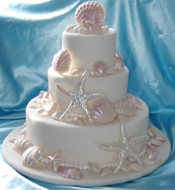 sea shell hawaii cake