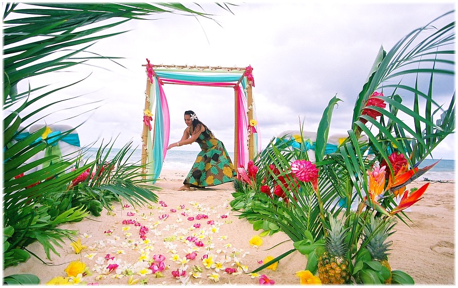 der the bamboo arch with palm and red plus pink ginger