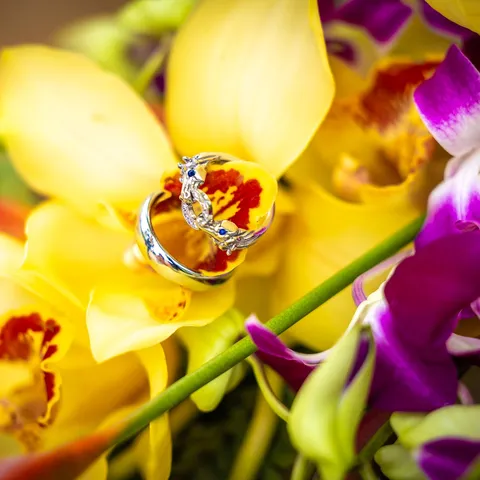 Wedding rings resting on a yellow orchid