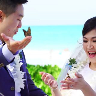 Wedding butterfly release Hawaii