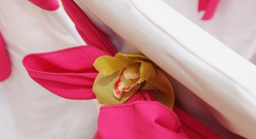 Large green orchid in the bow of this chair