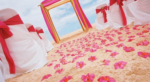closeup of fuchsia plumerias on the sand with a bamboo wedding arch