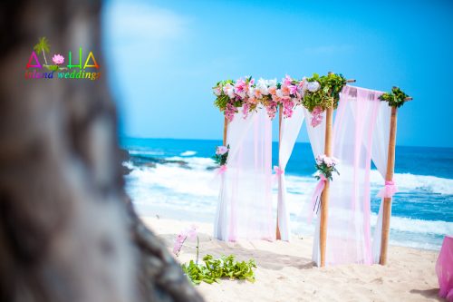 archway of pink theme on the beach of Hawaii by a tree