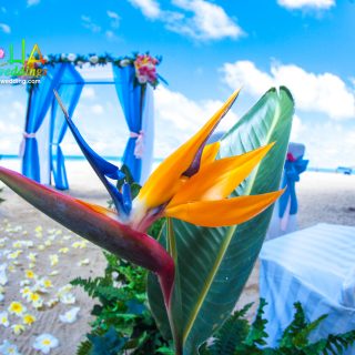 Beach design by aloha island weddings of orange yellow and blue