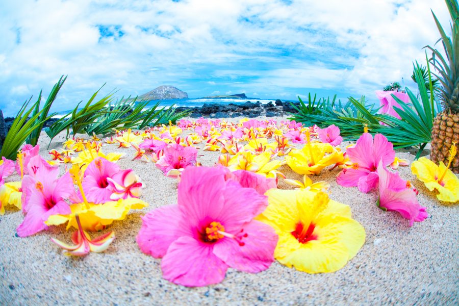 Yellow and pink walkway with pineapples