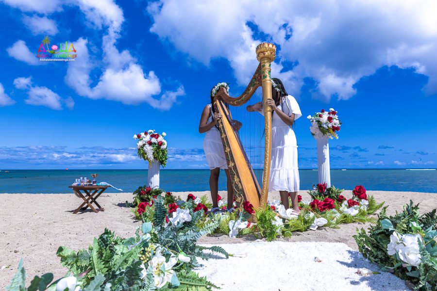 beach harp, wedding harp , Vow renewal flower girls
