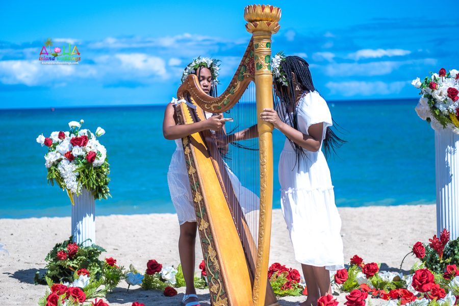 Flower girls posing with the harp after vow renewal