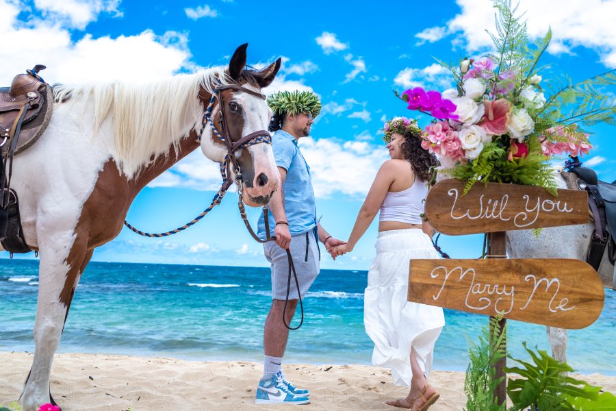 Oahu proposal with our horse 